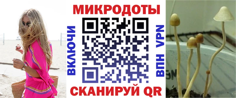 Купить  Пересвет  Псилоцибиновые грибы Magic Shrooms 